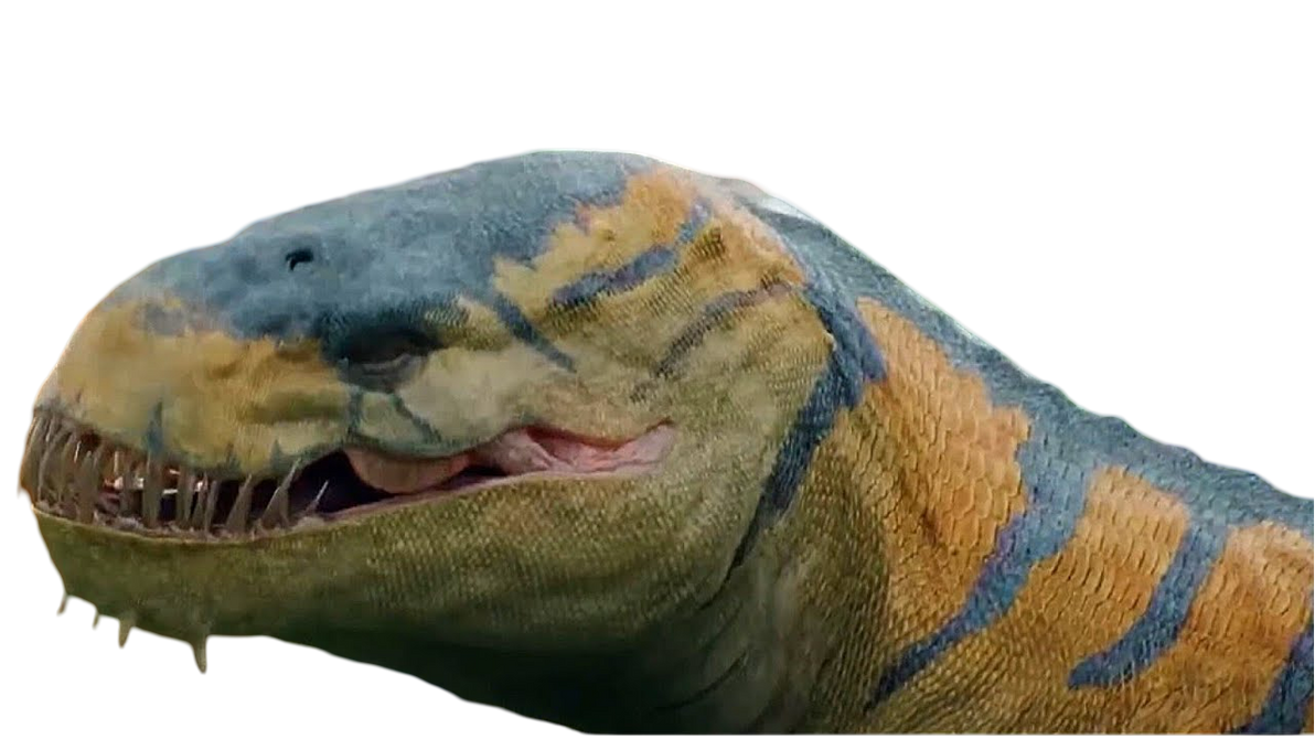 Snapper by DracoAwesomeness on DeviantArt