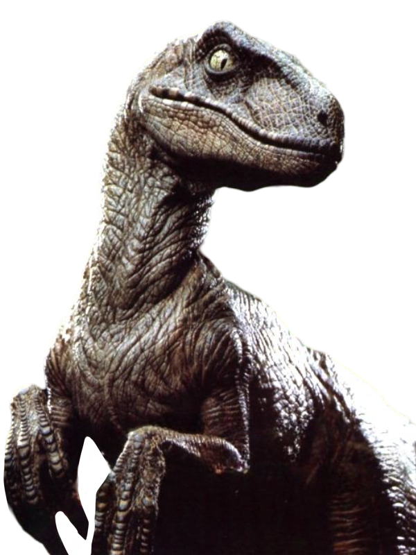 Raptor by DracoAwesomeness on DeviantArt