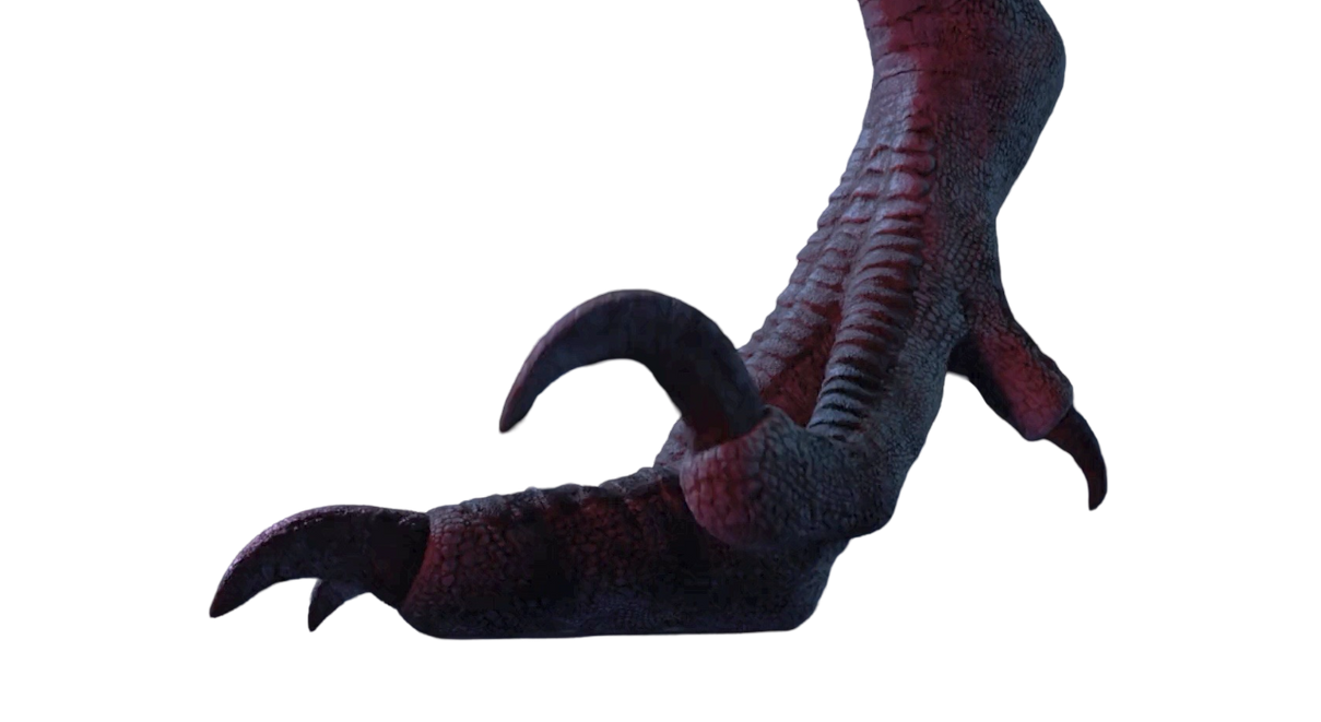 Raptor foot by DracoAwesomeness on DeviantArt