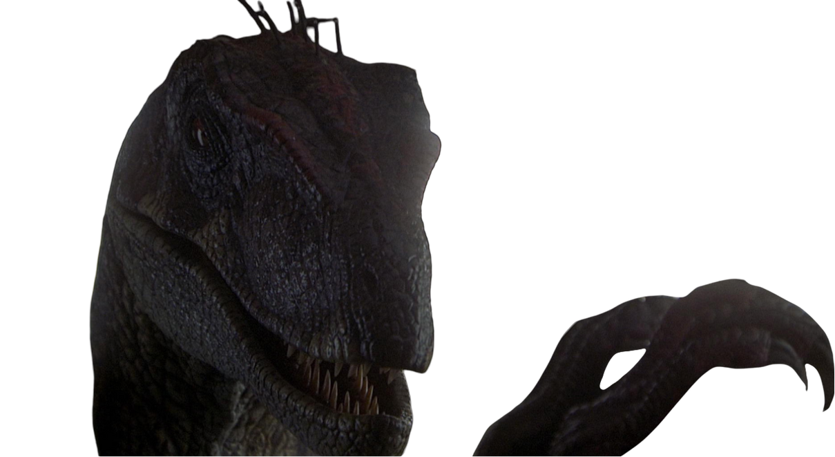 Raptor by DracoAwesomeness on DeviantArt