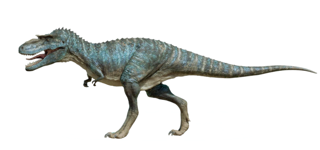 Gorgosaurus by DracoAwesomeness on DeviantArt