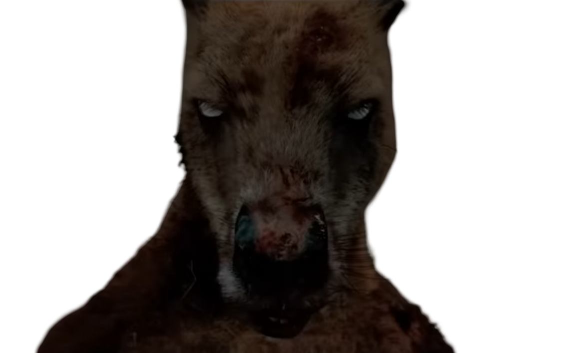 Distorted Kangaroo Rippy kangaroo by DracoAwesomeness on DeviantArt
