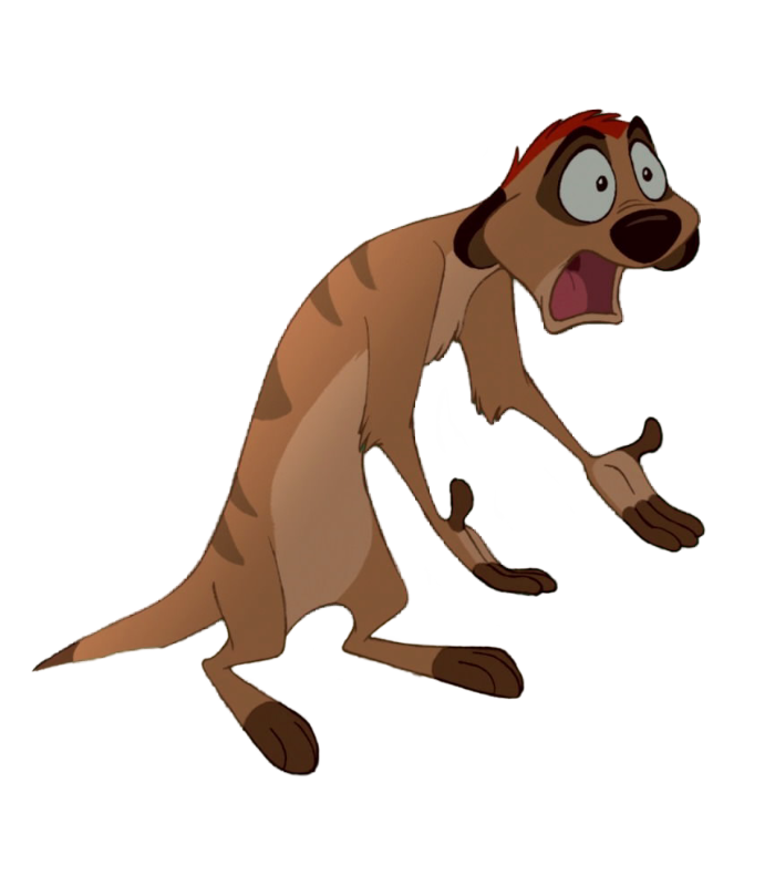 Timon by DracoAwesomeness on DeviantArt