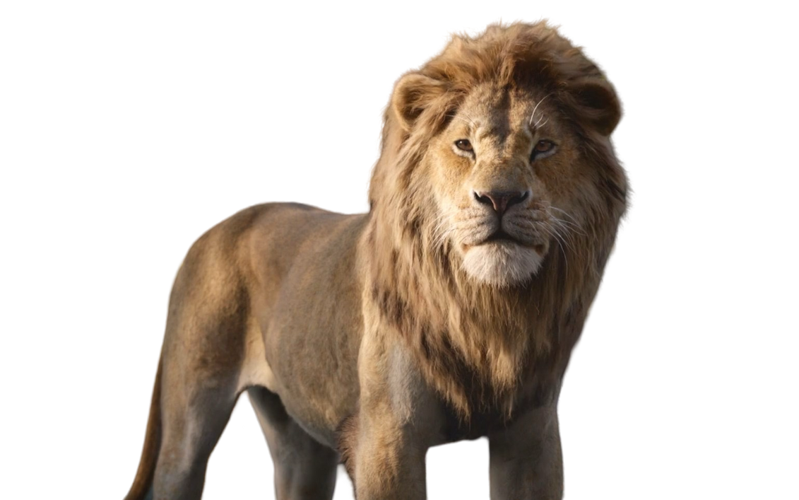 Simba by DracoAwesomeness on DeviantArt