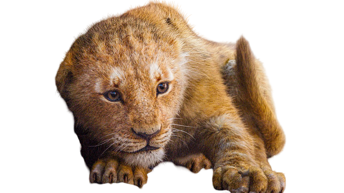 Simba by DracoAwesomeness on DeviantArt