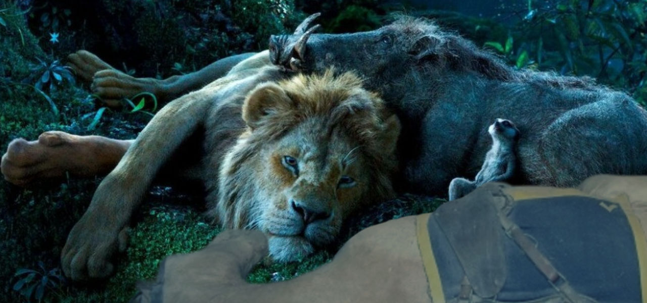 Spirit, Simba, Timon and Pumbaa watch the stars by DracoAwesomeness on ...