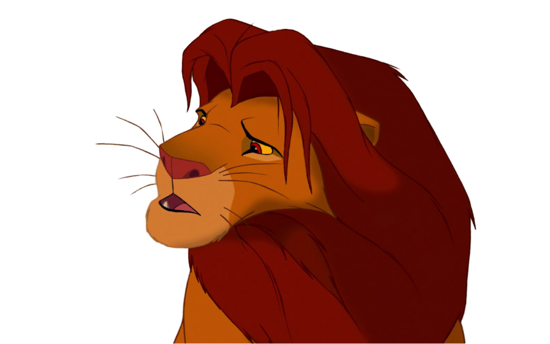 Simba by DracoAwesomeness on DeviantArt