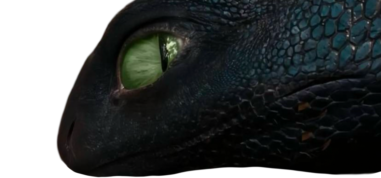 Toothless Stretch Live action Toothless by DracoAwesomeness on DeviantArt