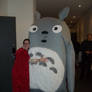 Totoro cosplay Cape and Kimono