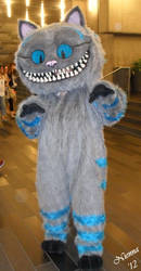 Cheshire Cat cosplay