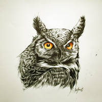 Ballpoint owl