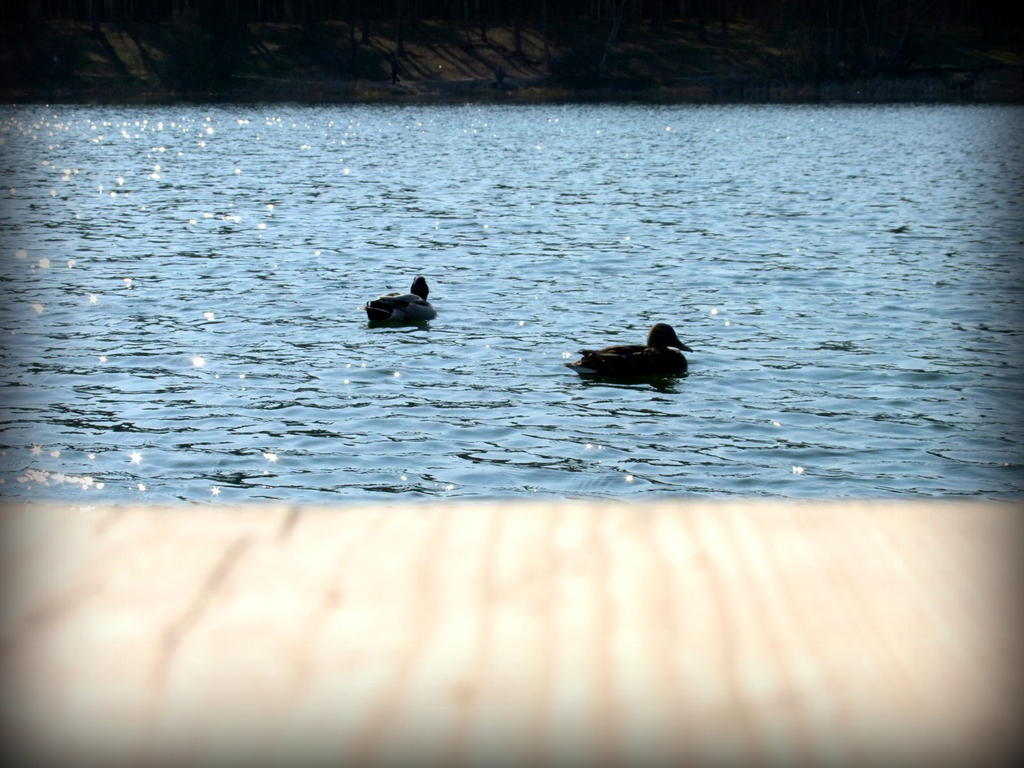 Kaczorowo. by untouched89 on DeviantArt