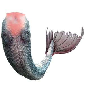 UNRESTRICTED PNG STOCK - Mermaid Tail 1