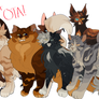 10 Cats OTA!!! 4/10 OPEN