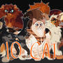 Autumnal Breedable CATS