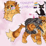 transfem lionblaze truther