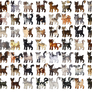 Minecraft Based Cat Gacha (USD)
