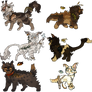 Adopt Collab !!!