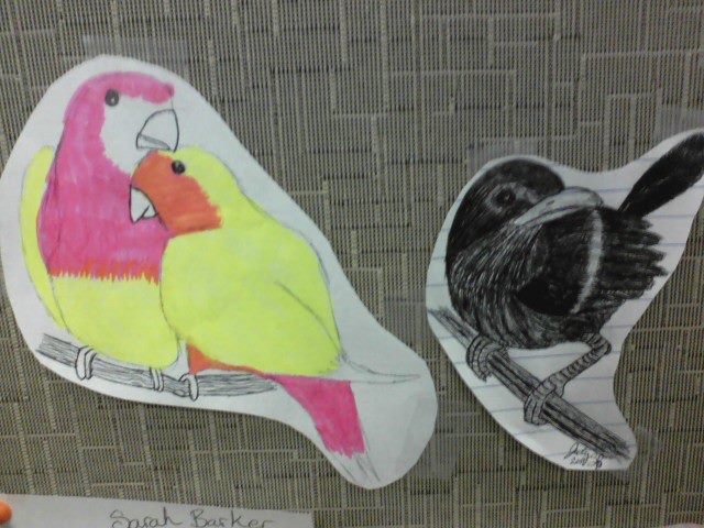 Birds I drew at Work.