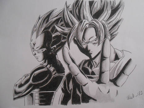 Dragon Ball Z - Goku and Vegeta