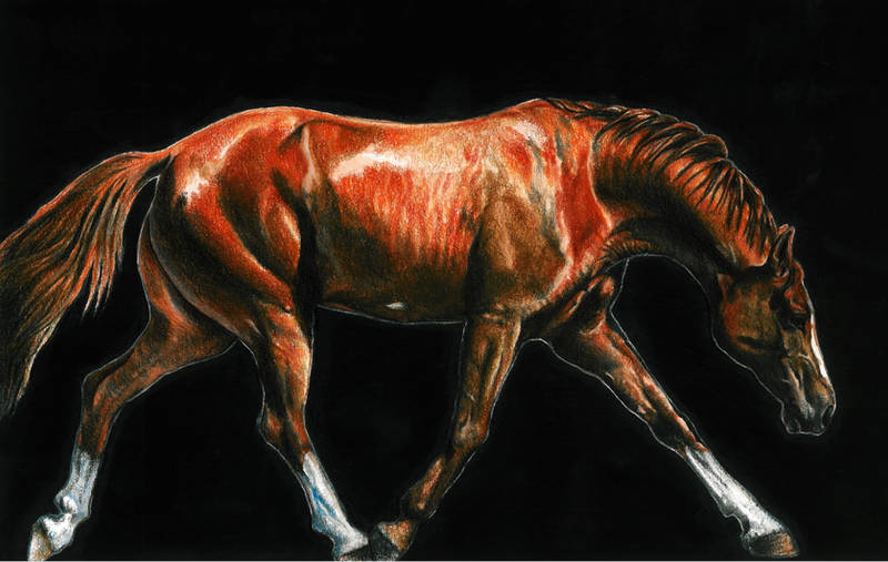 Trotting Horse by GabrielGrob