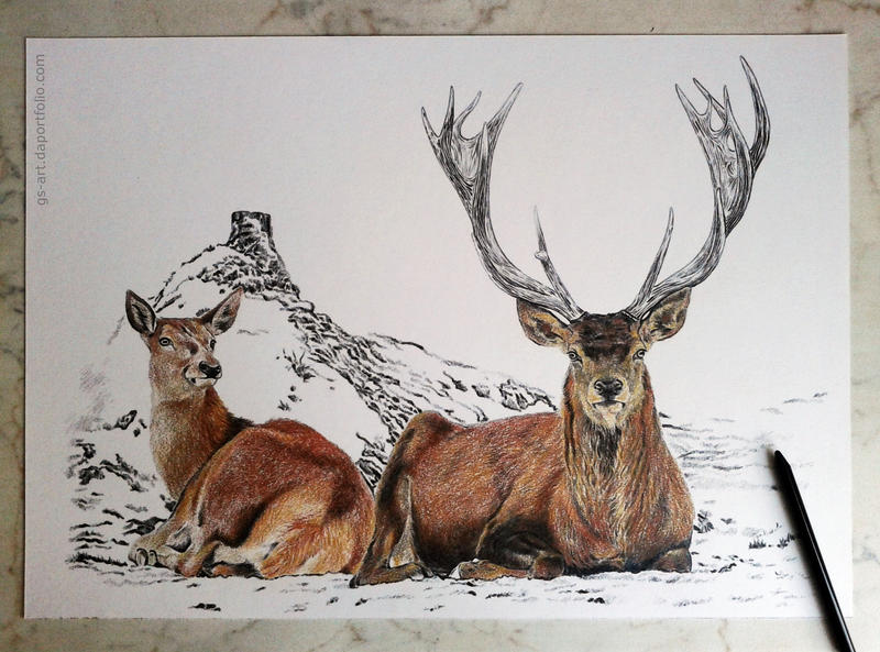Deers (commissioned) 3rd picture