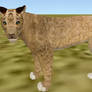 Maya FeralHeart Realistic Lion Cub