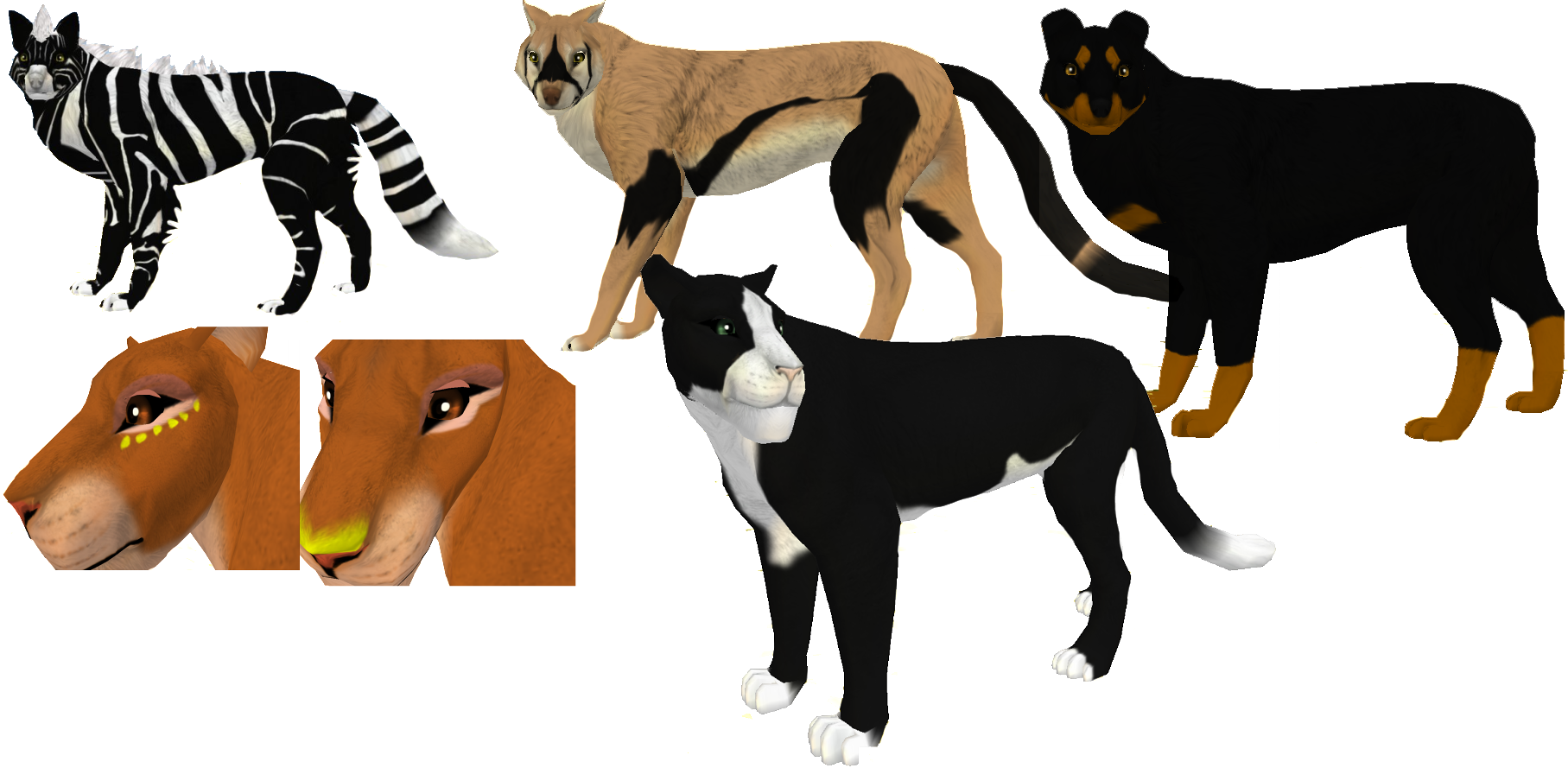 FeralHeart Animal Markings