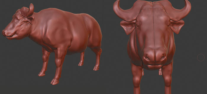 African Buffalo 3D model