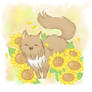 Cats and Sunflowers