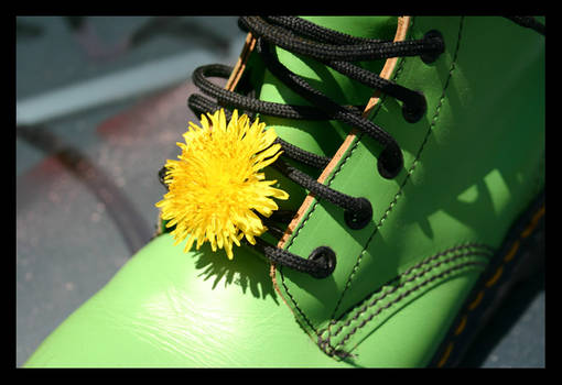 Dandelion Boots