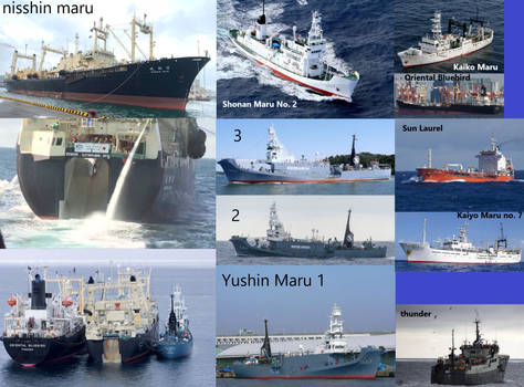 Japan's Whaling Ships