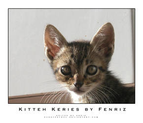 Kitty Keries by Fenriz
