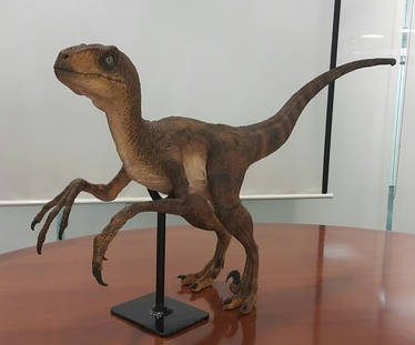 Jurassic Park-Velociraptor Model(Version 1:Female)