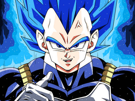 Vegeta SS Blue EVO (DBZ Style)