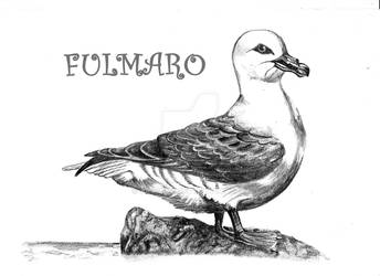 Fulmaro