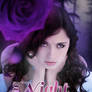 The Night Rose Premade Cover