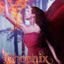 Phoenix Embrace Premade Cover