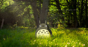 Totoro's Domain