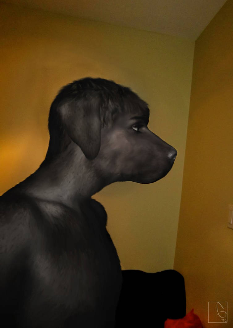 Black Lab Deviantart The Black Lab by shadowfox014 on DeviantArt