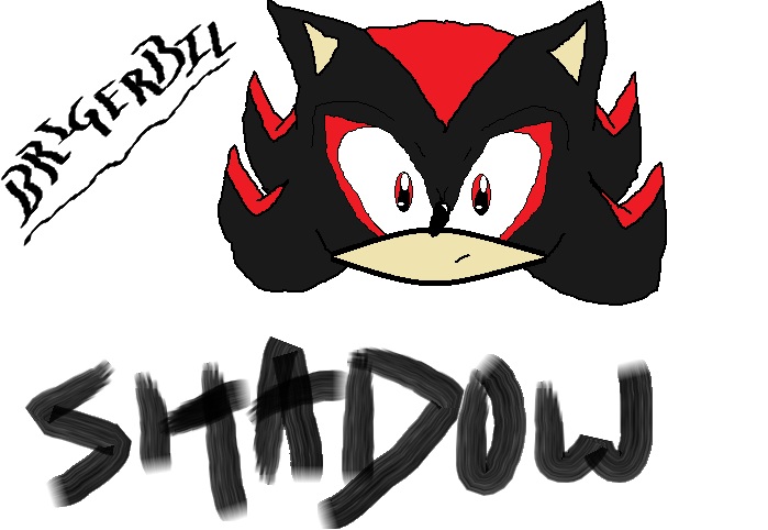 Shadow the hedgehog