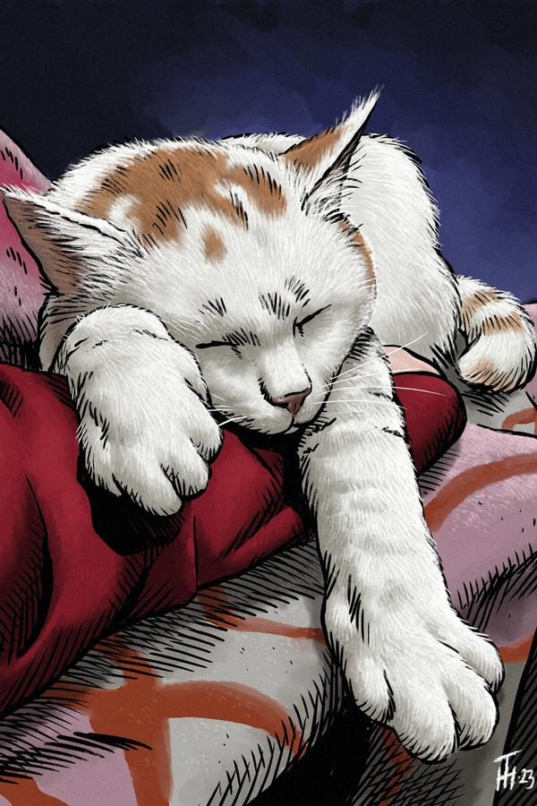 Deviantart Sleep Sleeping Beauty by HTH68 on DeviantArt