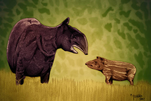 Taveraart Hobbyist General Artist Deviantart Taveraart Hobbyist General Artist Deviantart