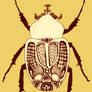 Scarab