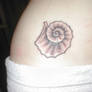 ammonite tat