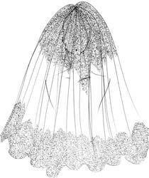 Veil Design