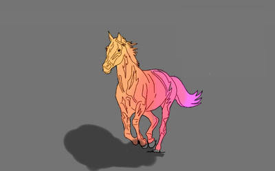 Coloured Horse