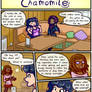 Chamomile #257 - Mainly