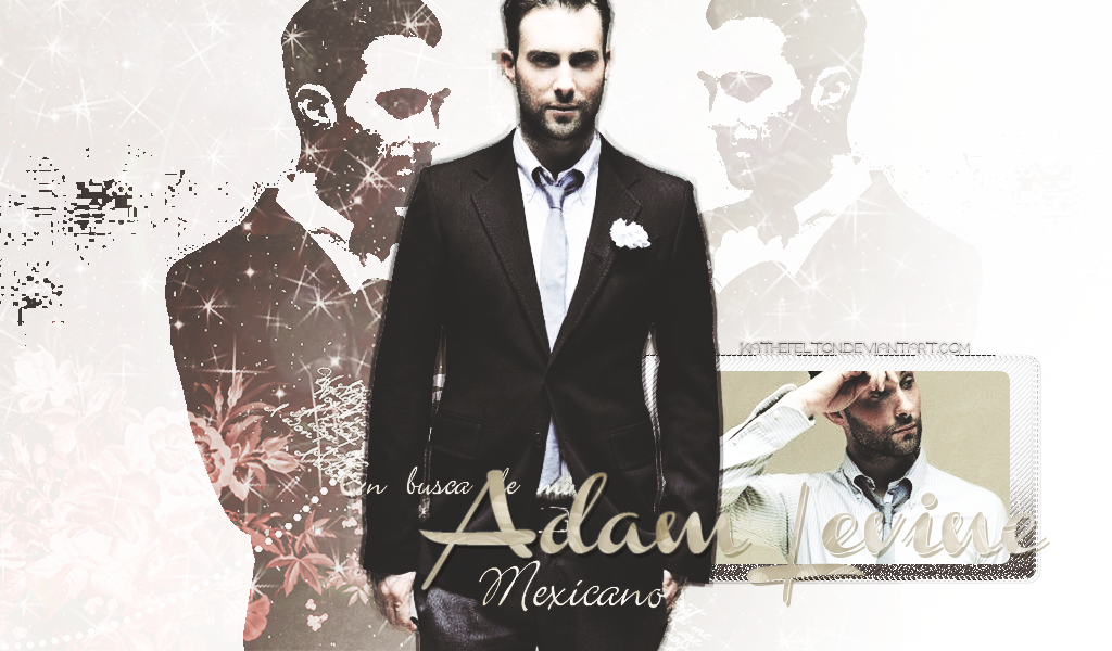 +Wallpaper [Adam Levine]