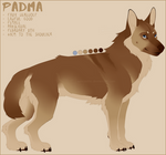 PADMA REF. SHEET by Vencentio